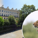 What life is like living next door to ZSL London Zoo where you can ‘see leopards and llamas from your window’