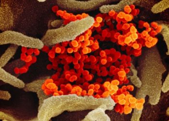 Confirmed cases of COVID-19 in London-Middlesex and Huron-Perth