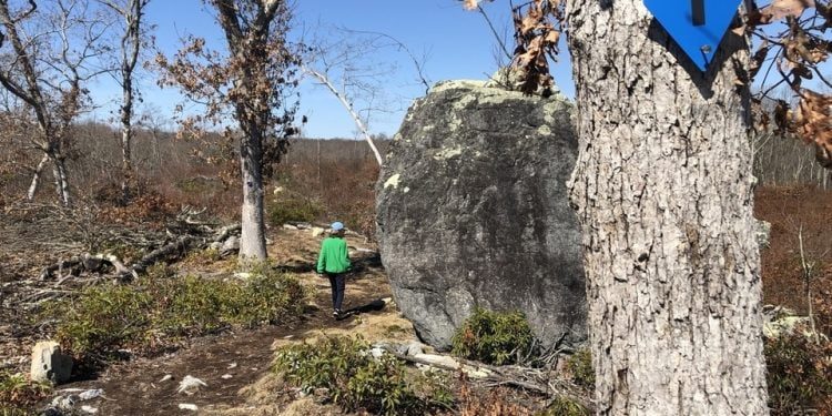 hiking trails