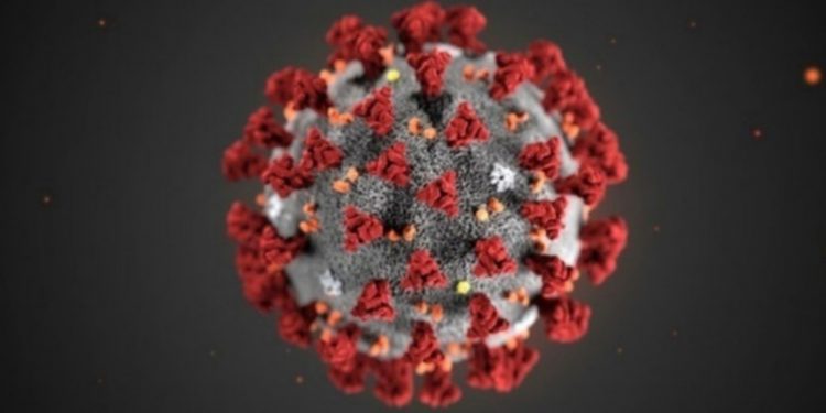 Coronavirus