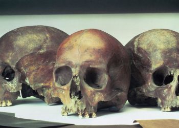The gruesome murder mystery of 39 battered skulls found underneath a London bookshop