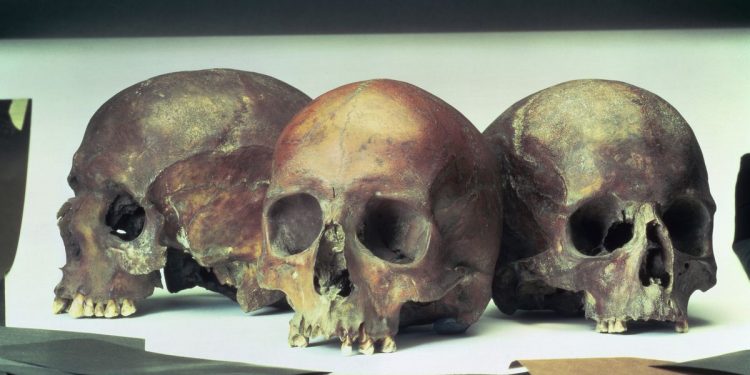 The gruesome murder mystery of 39 battered skulls found underneath a London bookshop