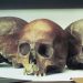 The gruesome murder mystery of 39 battered skulls found underneath a London bookshop