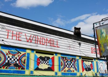 Listen to a podcast about the Brixton Windmill – London’s finest small live venue – Brixton Buzz