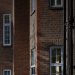 Westminster property group says Jenrick planning reforms ignore need for London ‘good growth’