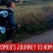 Good News: Boy walks from Sicily to London to hug his grandma; also raises funds for kids