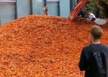 Truck load of carrots dumped outside London university