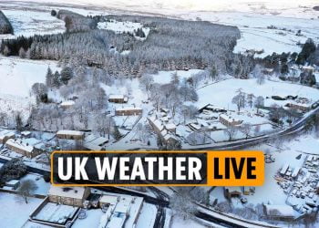UK weather forecast tomorrow – Snow in LONDON next week as Arctic blast rips through Britain bringing sub-zero misery