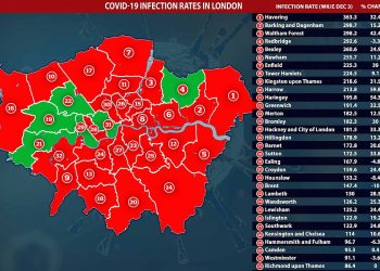National lockdown had ‘minor and short-lived impact’ on coronavirus in London’s worst-hit borough