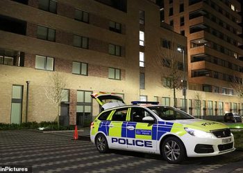 Mother, 25, ‘murdered two-year-old daughter she doted on before killing herself’ in west London