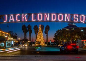 Oakland Jack London tree lighting goes virtual