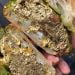 London chef defends his £50 beef and gold leaf sandwiches after being called out on social media