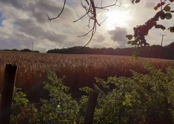 Newington: The tiny Kent village loved by Henry VIII and now London commuters