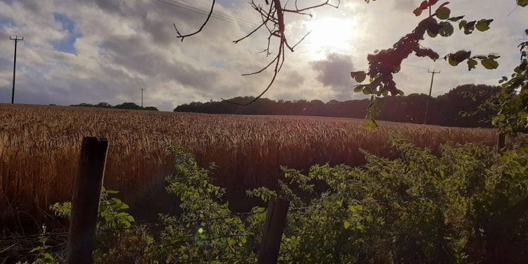 Newington: The tiny Kent village loved by Henry VIII and now London commuters