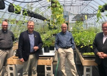 London Cares Curb Hunger Food Drive returns with emphasis on ‘growing’ – London