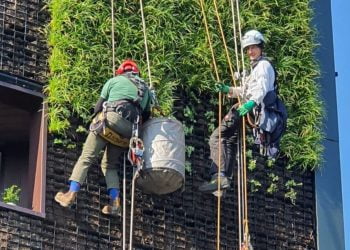 ‘I clean London skyscrapers while I’m suspended by a rope – just 1 mistake could end a life’