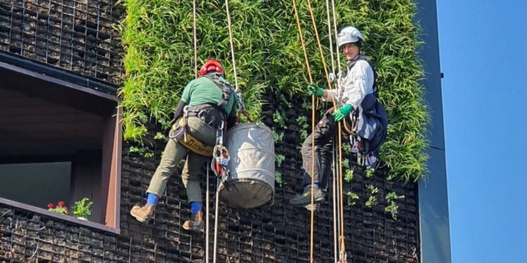 ‘I clean London skyscrapers while I’m suspended by a rope – just 1 mistake could end a life’