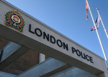 London, Ont. man charged, officer among 4 injured in violent Victoria Park incident – London