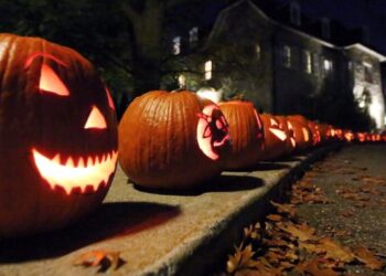 Halloween 2022: Events happening in London, Ont. – London
