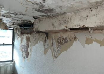 Inside London flat where ‘mushrooms’ grow on walls