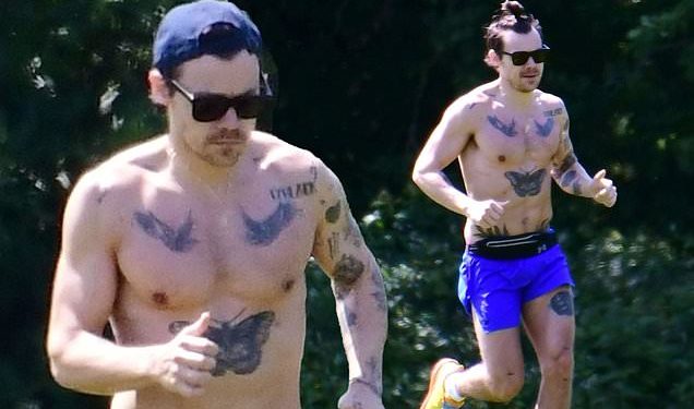 Shirtless Harry Styles shows off his toned and inked physique during a training session in London