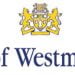 Relationship Officer – Physical Activity and Sport, City of Westminster Council,Westminster, London, UK